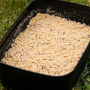 Guru Bait Box  5,3 PINTA Caja