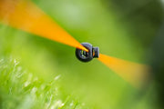 Guru Distance Stick Picas