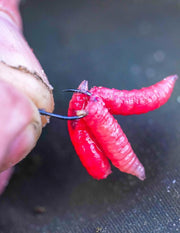 Feeder Special XS Eyed Ojal Anzuelo Guru