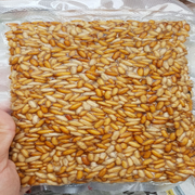 CASTER AL VACIO PRIMERA CALIDAD Bajo Pedido