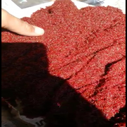 FOULLI FRESCO 1KG