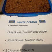 ENGODO CDF ETANG Champion Feed oferta por fecha