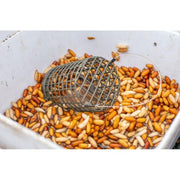 CEBADOR INICIO PRESTON