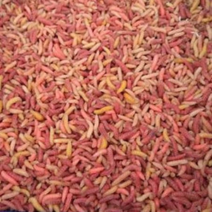 Pinky  mixto  Cebo vivo